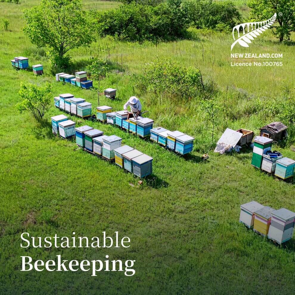 L'histoire du miel de Manuka : de la ruche néo-zélandaise à votre table - Manuka Honey