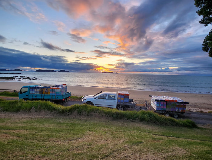 <h5><span style="text-decoration:underline">Apiculture & Excellence</span></h5><h2>Quand la tradition rencontre la précision.</h2><p>À chaque étape, nous veillons à l’essentiel : des lieux préservés, des abeilles en parfaite santé et une récolte menée avec soin. Notre engagement va au-delà de la production du miel. Nous faisons les choses juste — avec patience, respect et une exigence constante — pour vous offrir un Manuka authentique, pur et d’une qualité irréprochable.</p>