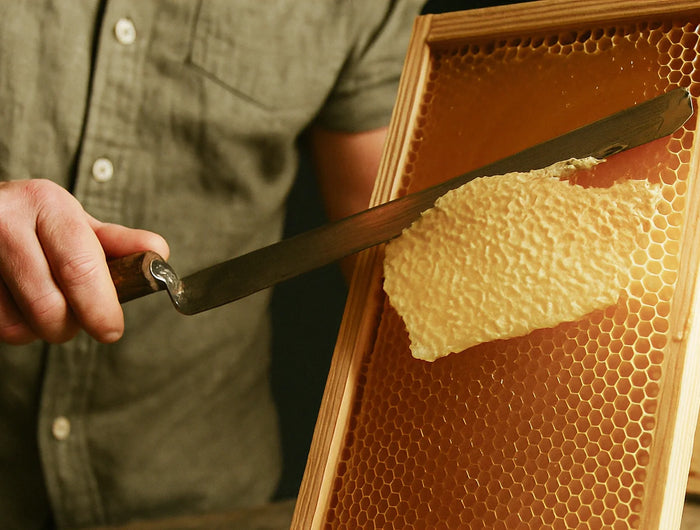 <h5><span style="text-decoration:underline">Récolte & Durabilité</span></h5><h2>Des méthodes propres. Une terre préservée. Un miel pur.</h2><p>Nos pratiques sont durables et à faible impact, pensées pour protéger à la fois les abeilles et leur environnement.</p><p>Chaque pot est testé et certifié selon les standards UMF et MGO, et ne contient que du miel de Manuka pur — tel que la nature l’a conçu.</p>